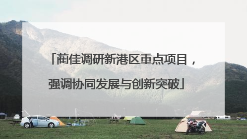蔺佳调研新港区重点项目，强调协同发展与创新突破