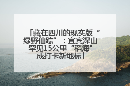 藏在四川的现实版“绿野仙踪”：宜宾深山罕见15公里“稻海”成打卡新地标