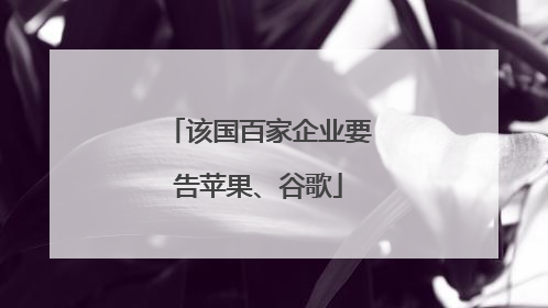 该国百家企业要告苹果、谷歌