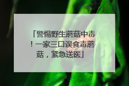 警惕野生蘑菇中毒！一家三口误食毒蘑菇，紧急送医