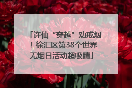 许仙“穿越”劝戒烟！徐汇区第38个世界无烟日活动超吸睛