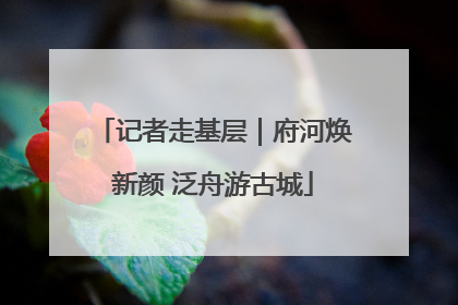 记者走基层｜府河焕新颜 泛舟游古城