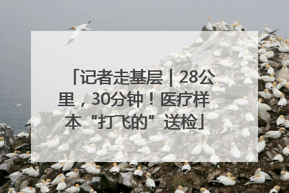 记者走基层｜28公里，30分钟！医疗样本“打飞的”送检