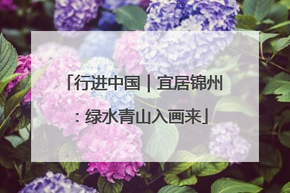 行进中国｜宜居锦州：绿水青山入画来