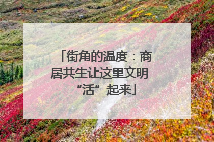 街角的温度：商居共生让这里文明“活”起来