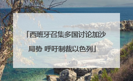 西班牙召集多国讨论加沙局势 呼吁制裁以色列
