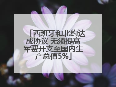 西班牙和北约达成协议 无须提高军费开支至国内生产总值5%