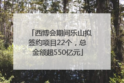 西博会期间乐山拟签约项目22个，总金额超550亿元