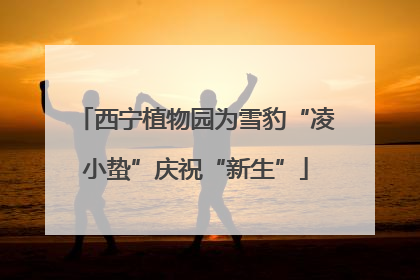 西宁植物园为雪豹“凌小蛰”庆祝“新生”