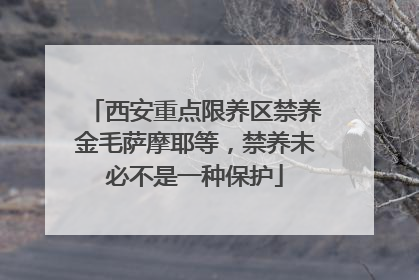 西安重点限养区禁养金毛萨摩耶等，禁养未必不是一种保护