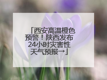 西安高温橙色预警！陕西发布24小时灾害性天气预报→