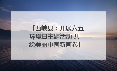西峡县：开展六五环境日主题活动 共绘美丽中国新画卷