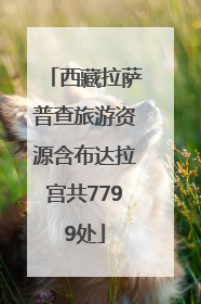 西藏拉萨普查旅游资源含布达拉宫共7799处