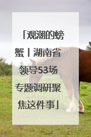 观潮的螃蟹丨湖南省领导53场专题调研聚焦这件事