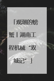 观潮的螃蟹丨湖南工程机械“双城记”