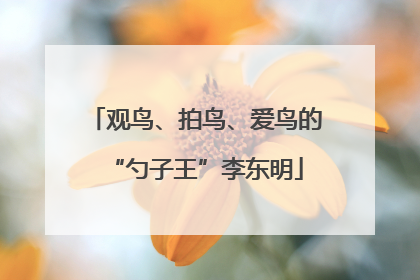 观鸟、拍鸟、爱鸟的“勺子王”李东明