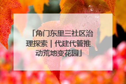角门东里三社区治理探索｜代建代管推动荒地变花园