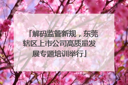 解码监管新规，东莞辖区上市公司高质量发展专题培训举行