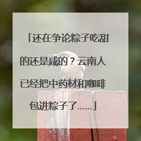 还在争论粽子吃甜的还是咸的？云南人已经把中药材和咖啡包进粽子了……