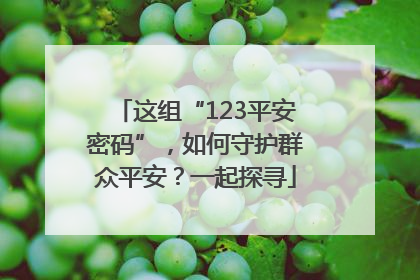 这组“123平安密码”，如何守护群众平安？一起探寻
