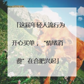 这届年轻人流行为开心买单，“情绪消费”在合肥兴起