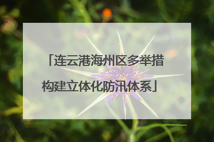 连云港海州区多举措构建立体化防汛体系