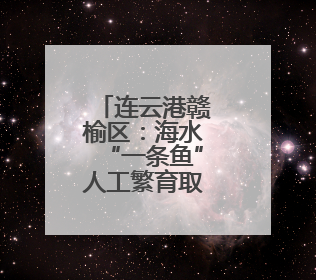 连云港赣榆区：海水“一条鱼”人工繁育取得新突破
