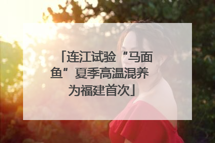 连江试验“马面鱼”夏季高温混养 为福建首次