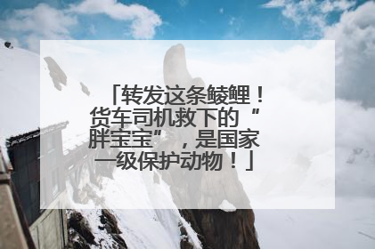 转发这条鲮鲤！货车司机救下的“胖宝宝”，是国家一级保护动物！
