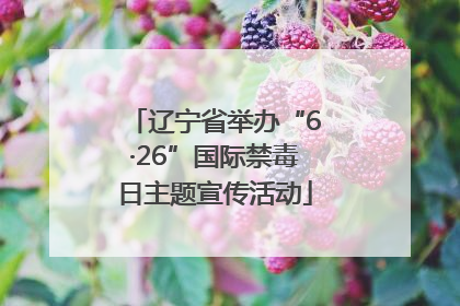 辽宁省举办“6·26”国际禁毒日主题宣传活动