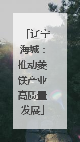 辽宁海城：推动菱镁产业高质量发展
