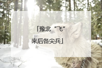 豫北“飞”来后备尖兵