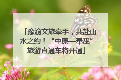 豫渝文旅牵手，共赴山水之约！“中原—奉巫”旅游直通车将开通