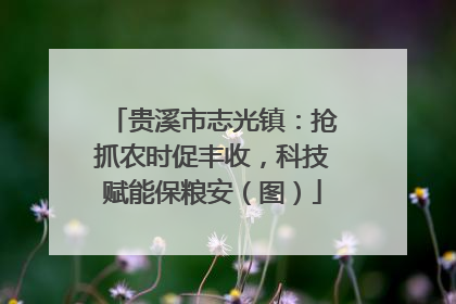 贵溪市志光镇：抢抓农时促丰收，科技赋能保粮安（图）