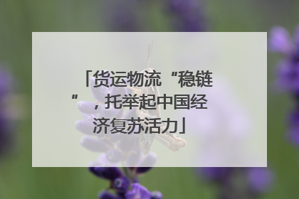货运物流“稳链”，托举起中国经济复苏活力