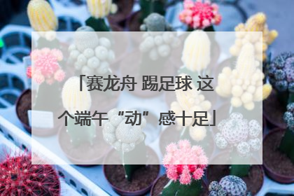 赛龙舟 踢足球 这个端午“动”感十足