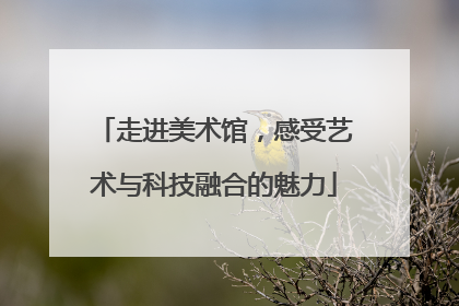 走进美术馆，感受艺术与科技融合的魅力