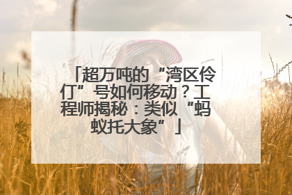 超万吨的“湾区伶仃”号如何移动？工程师揭秘：类似“蚂蚁托大象”