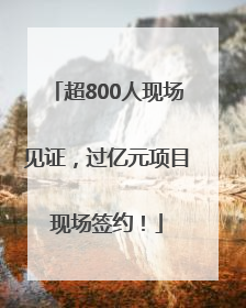超800人现场见证，过亿元项目现场签约！