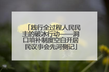 践行全过程人民民主的破冰行动——洞口填补制度空白开居民议事会先河侧记