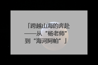 跨越山海的奔赴——从“杨老师”到“海河阿帕”