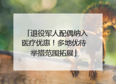 退役军人配偶纳入医疗优惠！多地优待举措范围拓展