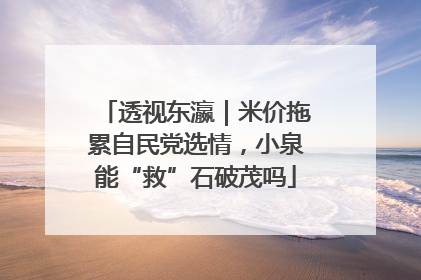 透视东瀛｜米价拖累自民党选情，小泉能“救”石破茂吗
