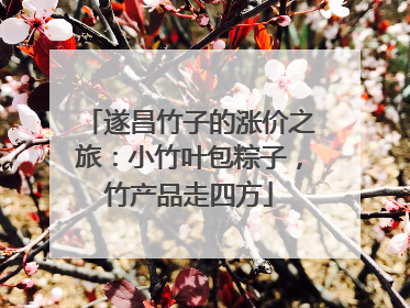 遂昌竹子的涨价之旅：小竹叶包粽子，竹产品走四方
