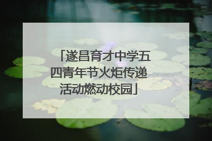 遂昌育才中学五四青年节火炬传递活动燃动校园