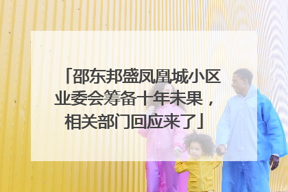 邵东邦盛凤凰城小区业委会筹备十年未果，相关部门回应来了