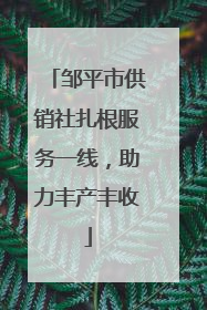 邹平市供销社扎根服务一线，助力丰产丰收