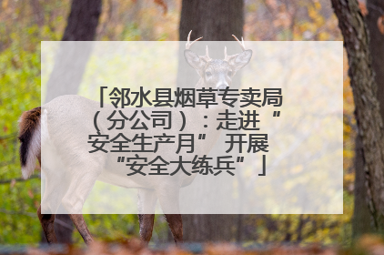 邻水县烟草专卖局（分公司）：走进“安全生产月” 开展“安全大练兵”