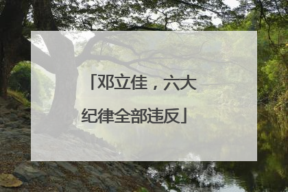 邓立佳，六大纪律全部违反