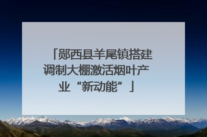 郧西县羊尾镇搭建调制大棚激活烟叶产业“新动能”